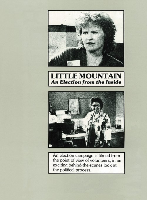Little Mountain: An Election from the Inside movie poster