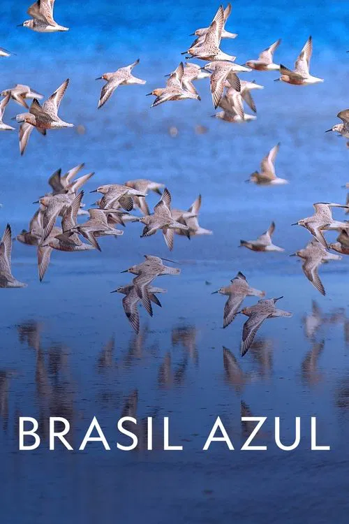 Blue Brazil movie poster