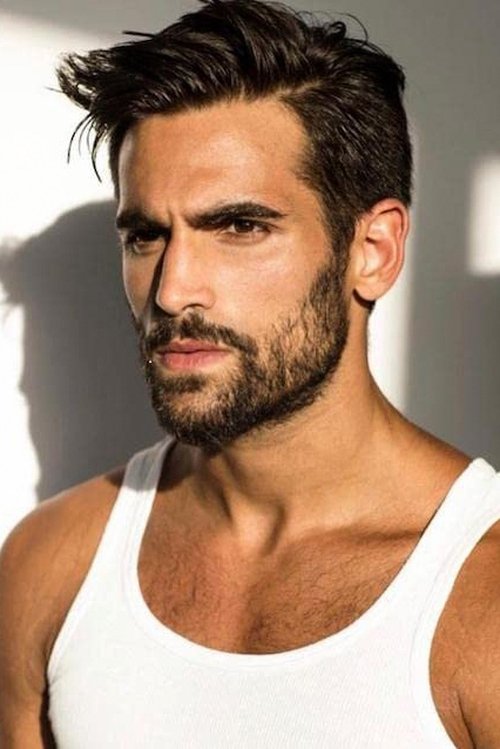Tomer Macloof profile picture