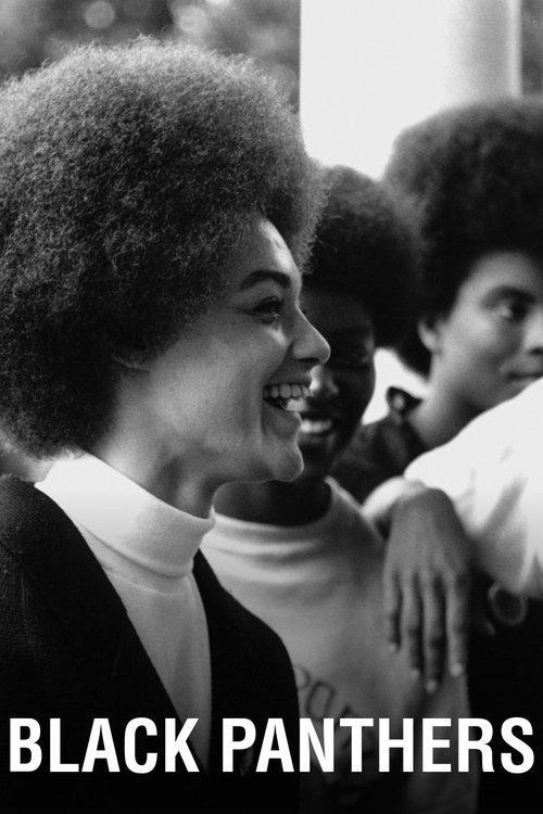 Black Panthers movie poster