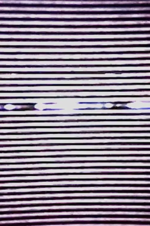 Poster do filme Dropout Window