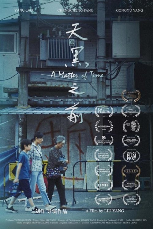 A Matter of Time movie poster