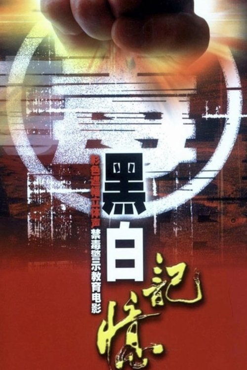 Black-and-White Memories movie poster