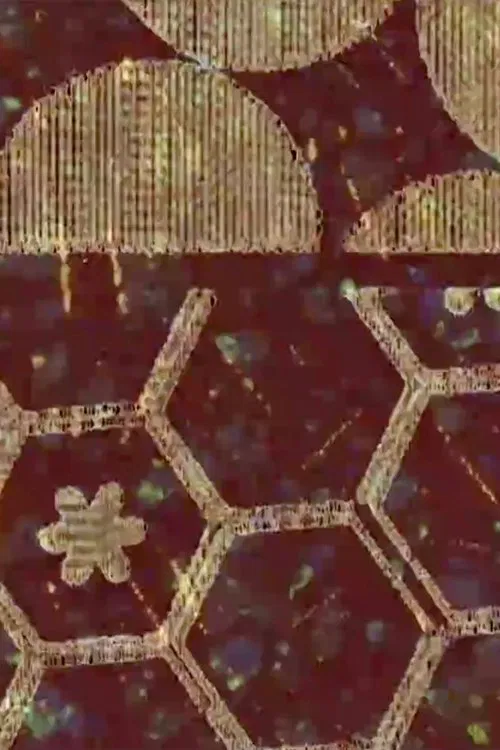 Framelines movie poster