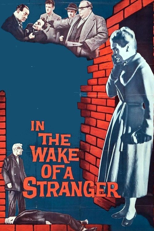 In the Wake of a Stranger movie poster