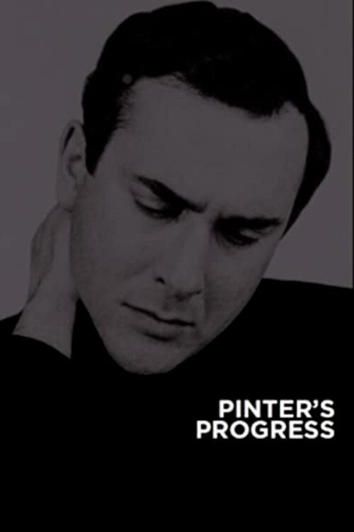 Poster do filme Pinter's Progress