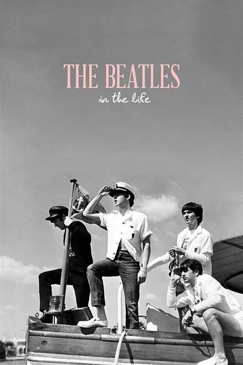 Poster do filme Paul McCartney: Wings Of A Beatle