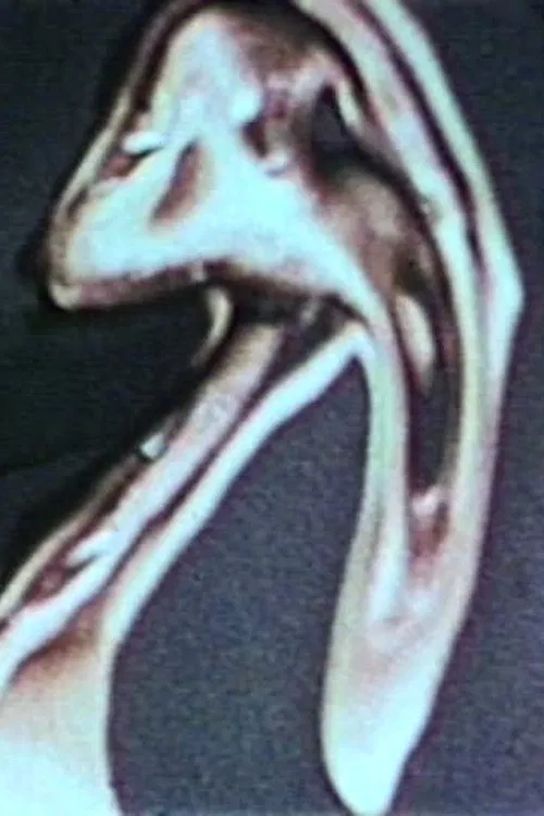 Thru the Looking Glass - A Fantasy movie poster