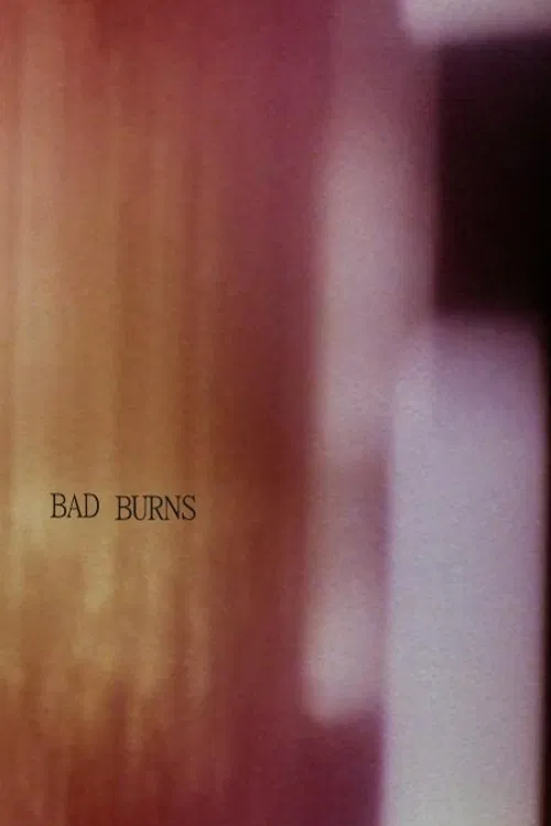 Bad Burns movie poster