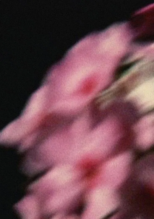 Five Year Diary, Reel 80: Emily Died (May 14–September 26, 1994) movie poster