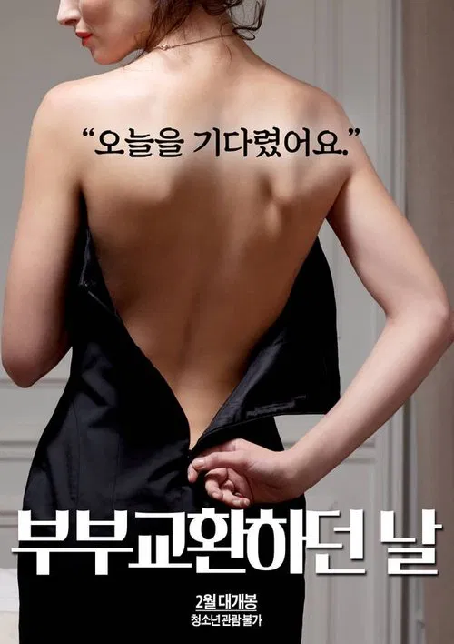 The Day the Couple Exchanged movie poster