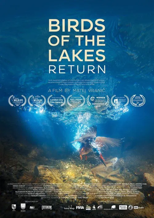 Birds of the Lakes Return movie poster