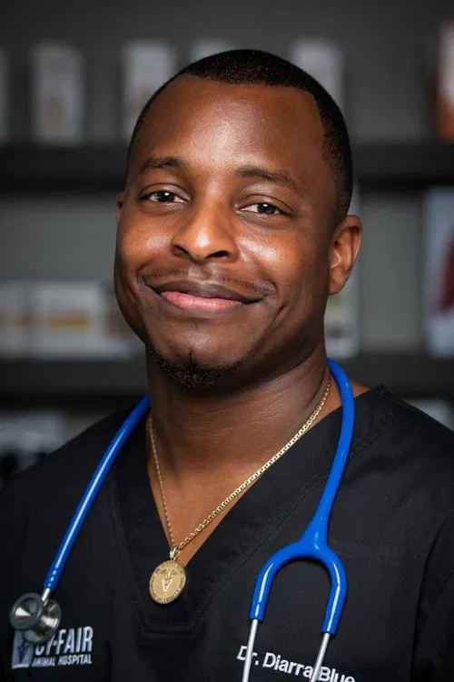Diarra Blue profile picture