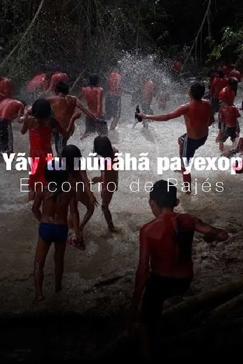 Yãy tu nũnãhã payexop: Encontro de Pajés movie poster