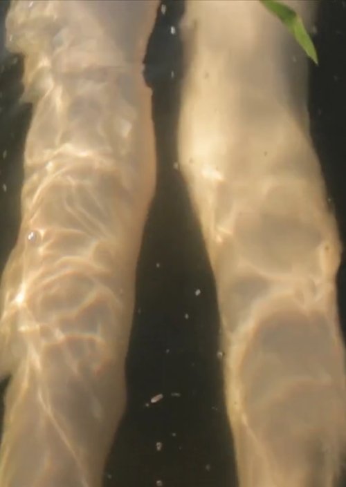 Poster do filme Sister City