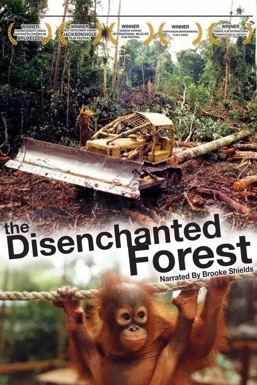 Disenchanted Forest movie poster