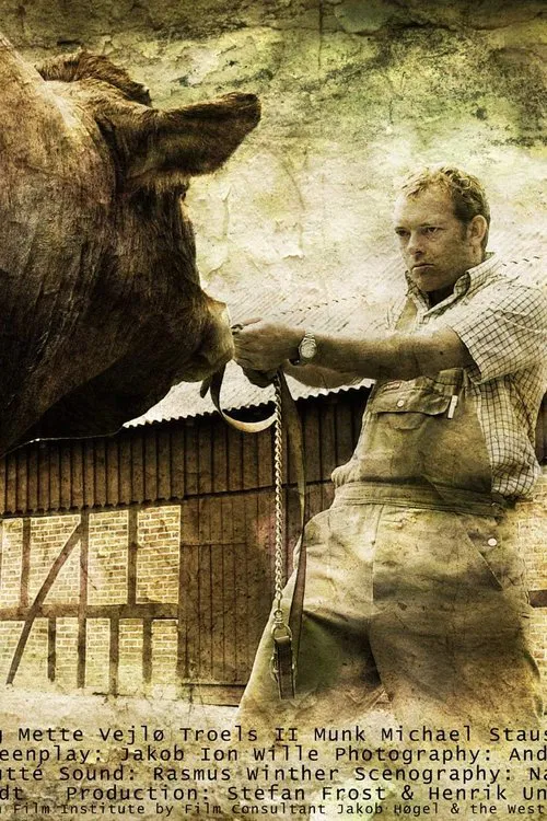 The Bull movie poster