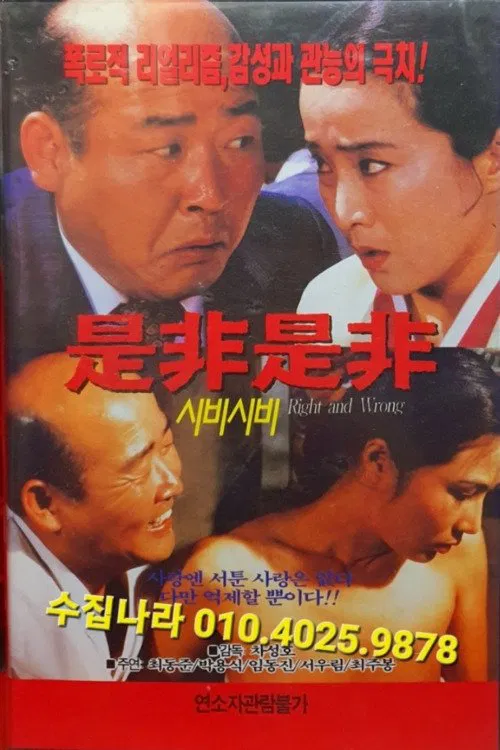 시비시비 movie poster