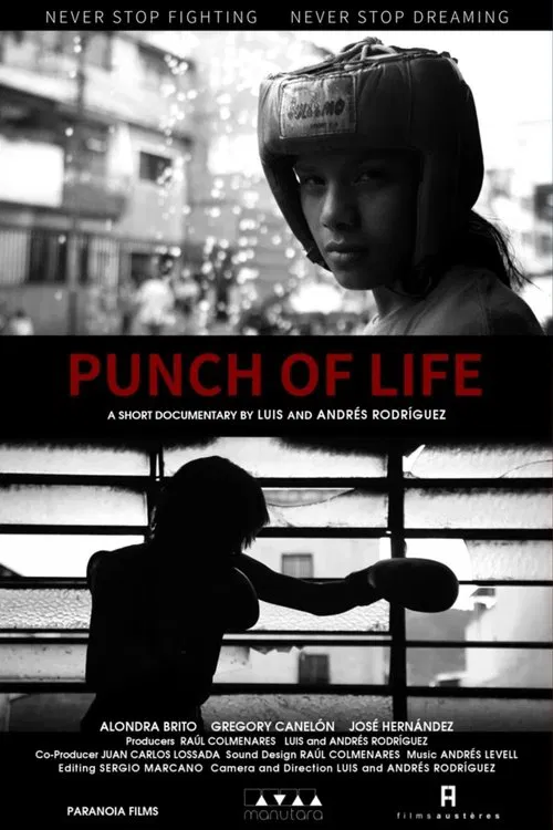 Punch of Life movie poster