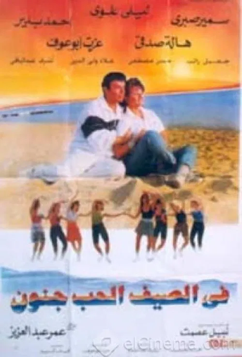 Poster do filme Love Is Crazy in the Summer