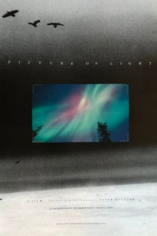 Picture of Light movie poster