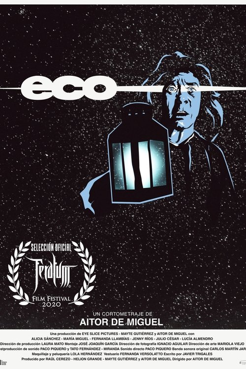 Echo movie poster