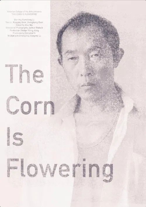 The Corn is Flowering movie poster