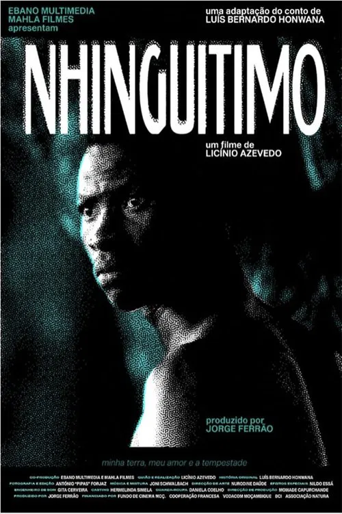 Nhinguitimo movie poster