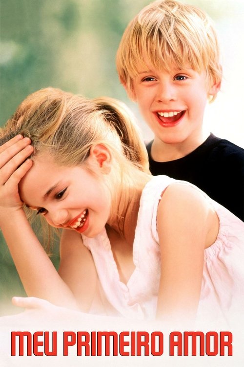 Poster do filme Meu Primeiro Amor