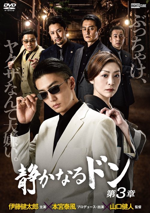 The Quiet Don: Chapter 3 movie poster