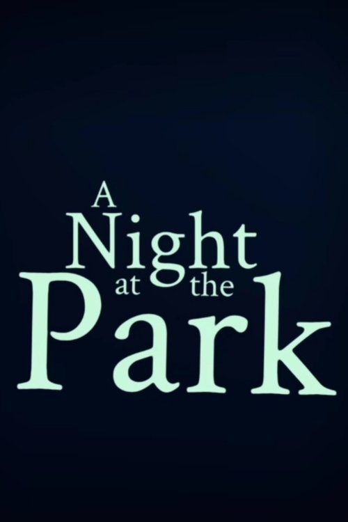A Night at the Park movie poster