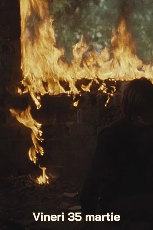 Vineri 35 martie movie poster