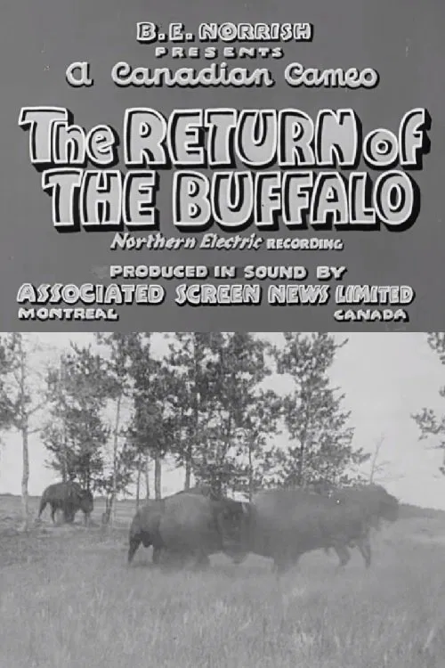 Return of the Buffalo movie poster
