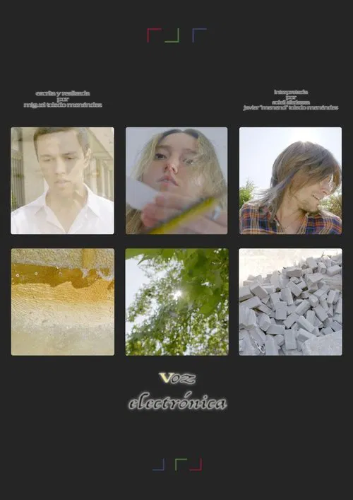 Electronic Voice movie poster