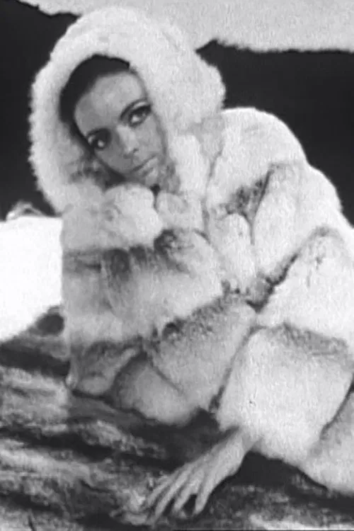 Barbara and Her Furs movie poster