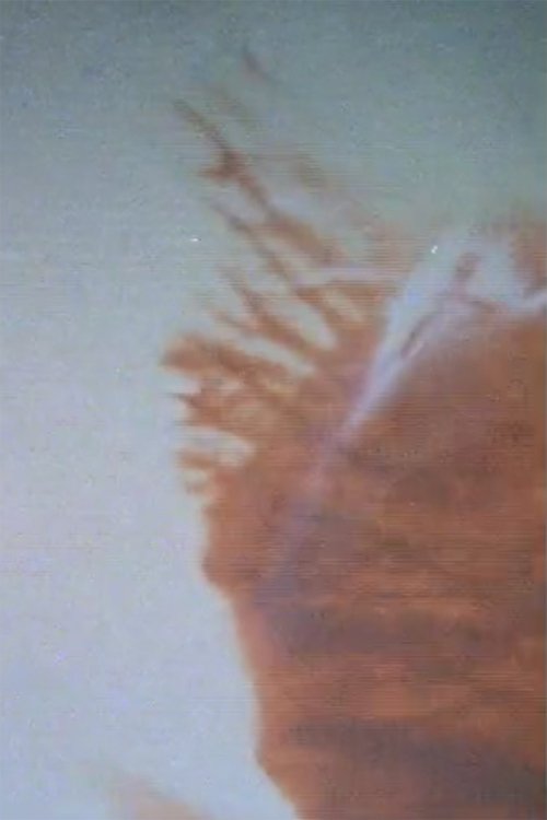 Little Fissures movie poster