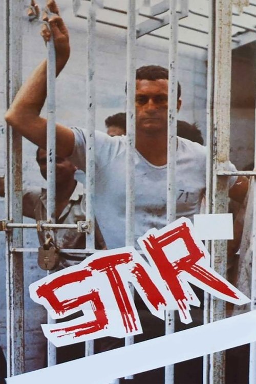 Stir movie poster