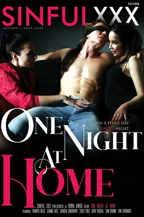 One Night At Home movie poster