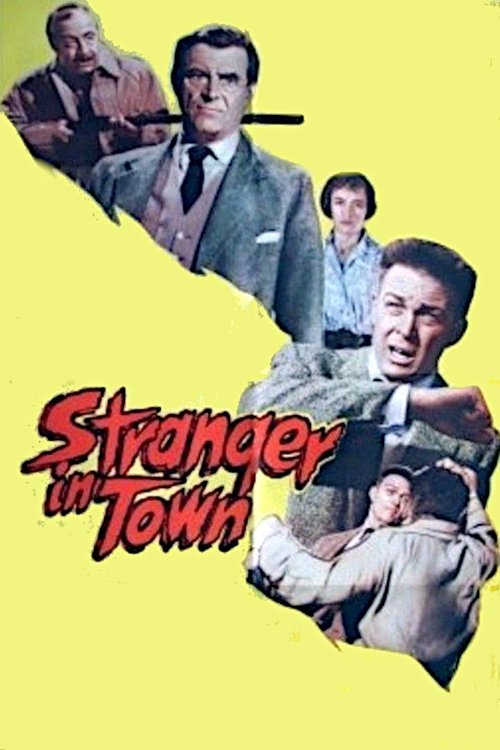 Poster do filme Stranger in Town