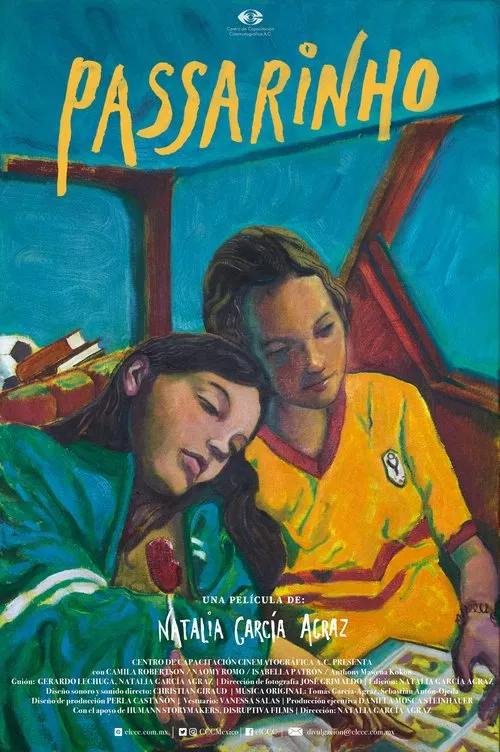 Poster do filme Passarinho