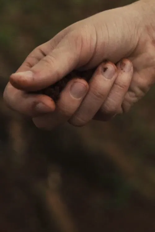 Ucronia movie poster