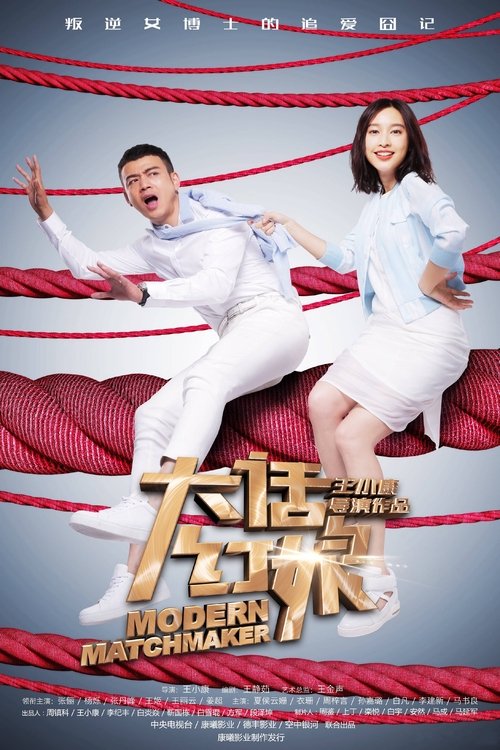 Modern Matchmaker tv show poster