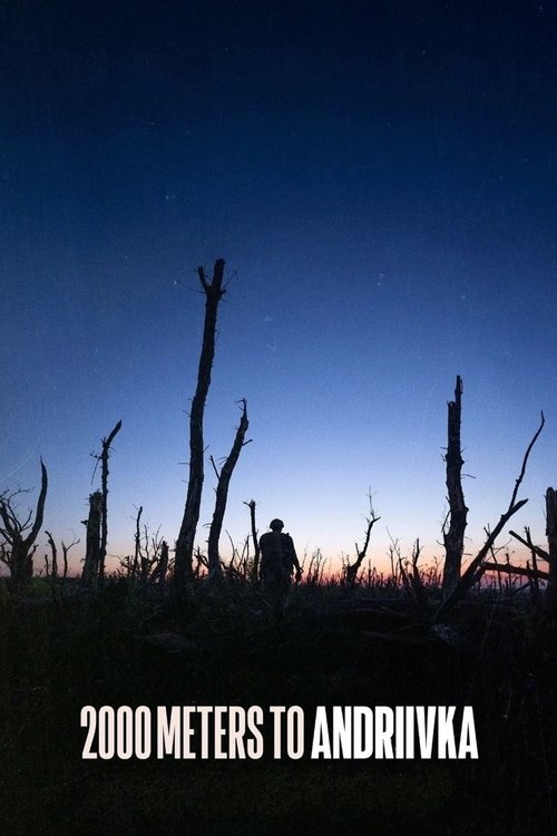 2000 Meters to Andriivka movie poster