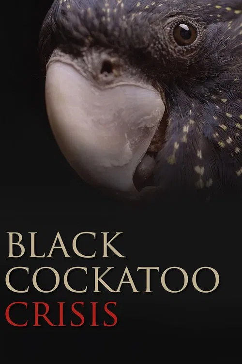 Black Cockatoo Crisis movie poster