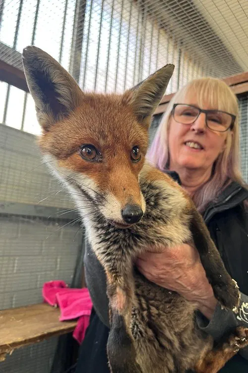 Poster do filme Secrets of the Southwest: Science Behind the Secrets