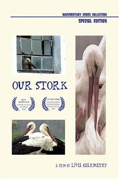 Our Stork movie poster