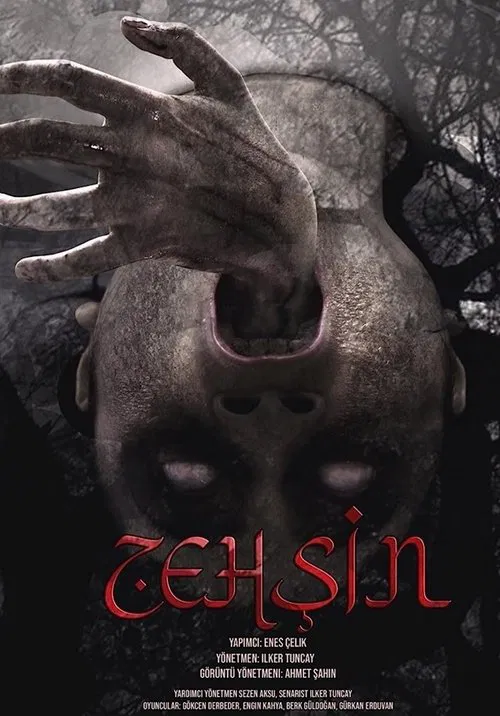 Zehşin Cin-i Musallat movie poster