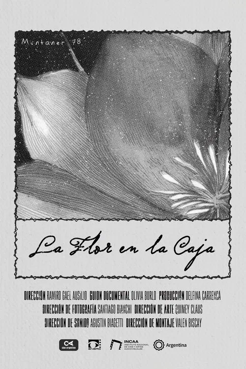 Poster do filme La Flor en la Caja