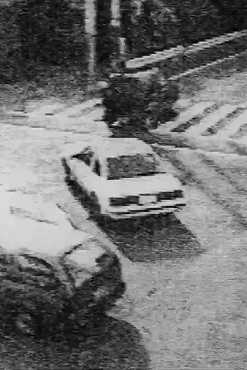 Variations for MOVEMENTS movie poster