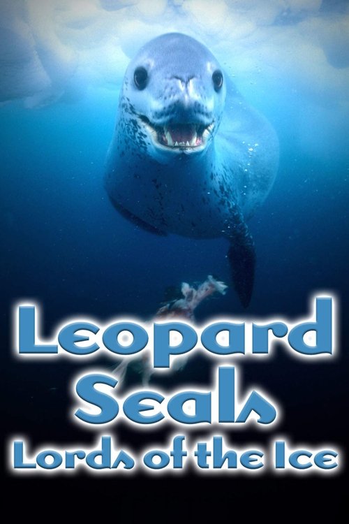 Leopard Seals: Lords of the Ice movie poster